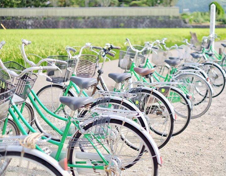Asuka Rental Cycling