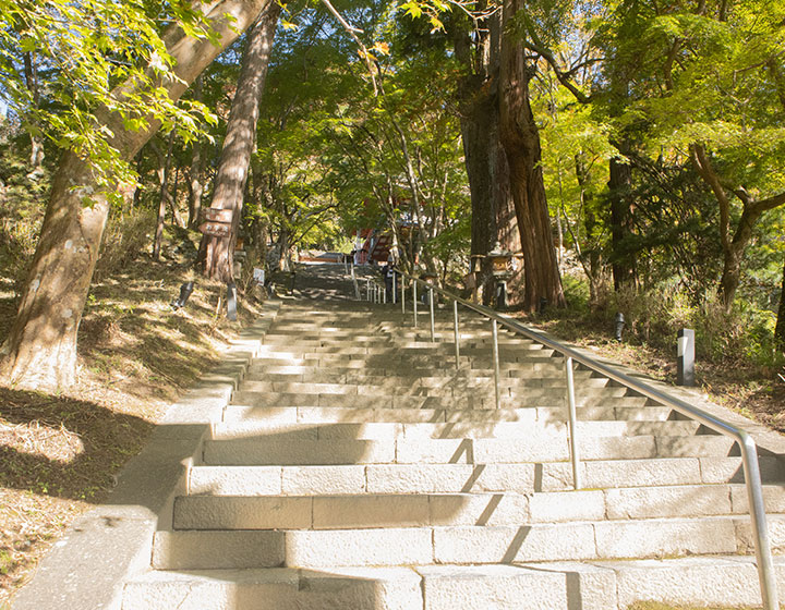 Approximately 140 steps lead from the Great torii gate to the worship hall. Along the way, you'll find the married couple cedar trees and several side paths.