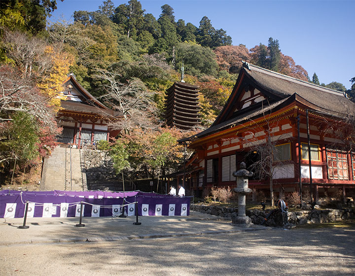 From left to right in the photo: “Gonden Hall,” “Thirteen-Story Pagoda,” “Shrine Worship Area (formerly Lecture Hall).” Visitors can enter the Shrine Worship Area.