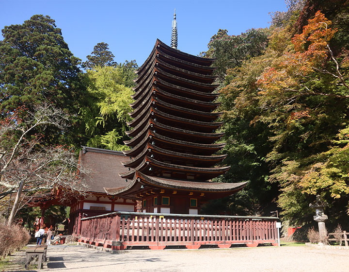 There is also a camera stand here, allowing you to capture the thirteen-story pagoda from a good angle.