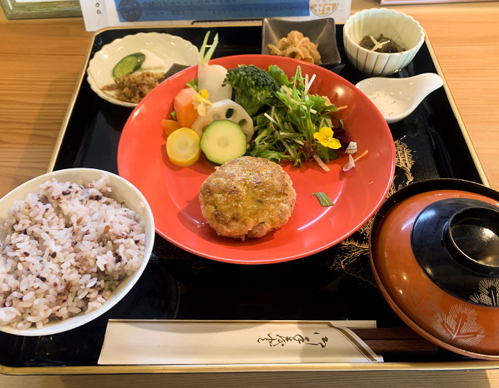 Palette - Asuka Tsukune (grilled chicken meatballs) Hamburger steak set meal