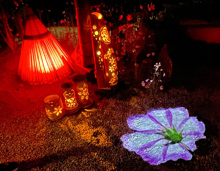 川原寺の中金堂を支えていた「めのう石」に、可憐な花が咲きます。