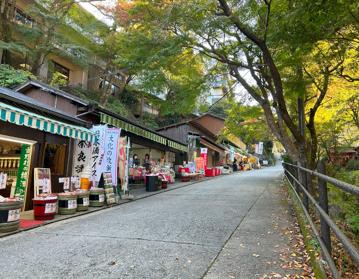 写真左側は商店が並び、右側は談山神社境内となります。